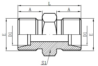 公制男性光型绘图